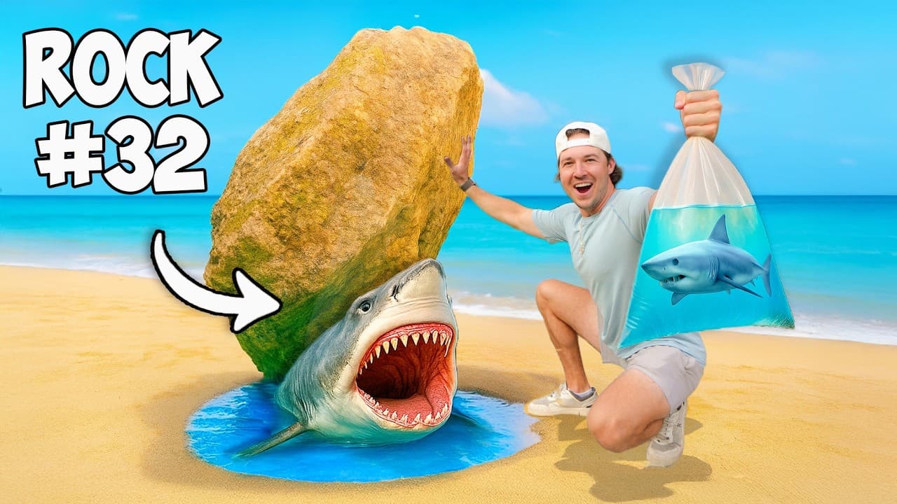 I Flipped 100 Beach Rocks, Here’s What I Found